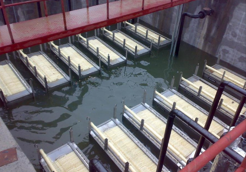 山東某食品加工廠